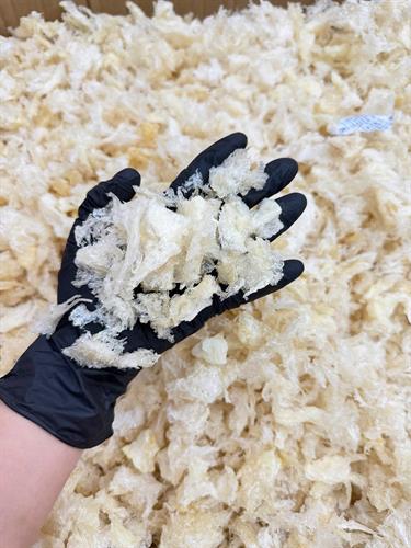 CHÂN YẾN RÚT LÔNG